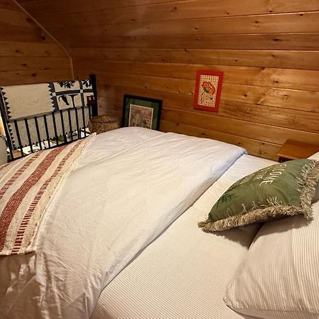 Appalachian Mountain Cabin-Updated-Private-Rafting On Ocoee River-Hiking-Waterfalls-Wifi-Pets Ok Мерфі Екстер'єр фото