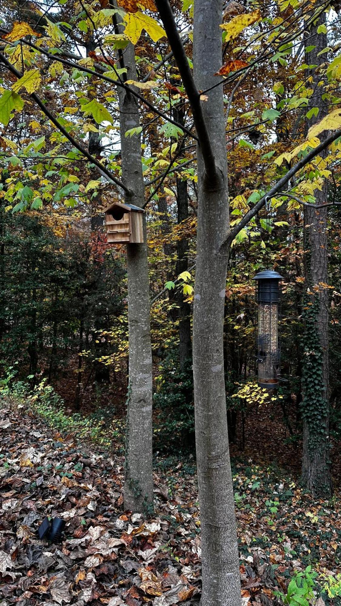 Appalachian Mountain Cabin-Updated-Private-Rafting On Ocoee River-Hiking-Waterfalls-Wifi-Pets Ok Мерфі Екстер'єр фото