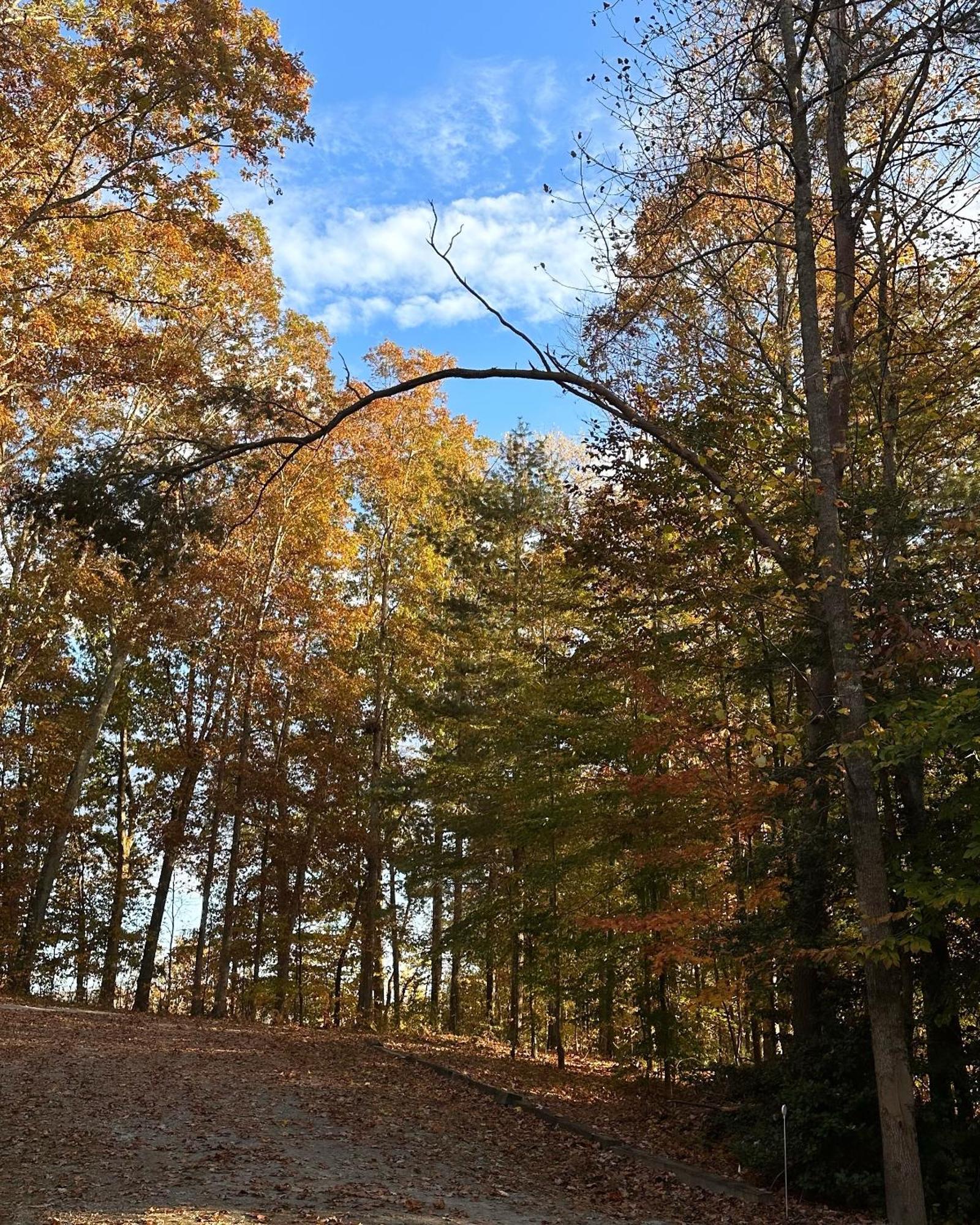 Appalachian Mountain Cabin-Updated-Private-Rafting On Ocoee River-Hiking-Waterfalls-Wifi-Pets Ok Мерфі Екстер'єр фото